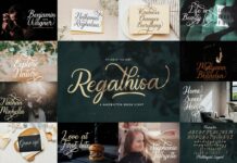 Calligraphy Font Bundle Vol 5 Poster 1