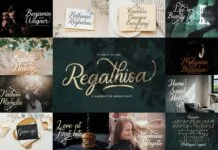 Calligraphy Font Bundle Vol 5 Poster 1