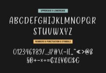 Camila Ashton - Script Font Duo Poster 1