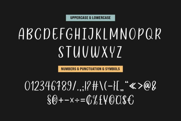 Camila Ashton - Script Font Duo Poster 1
