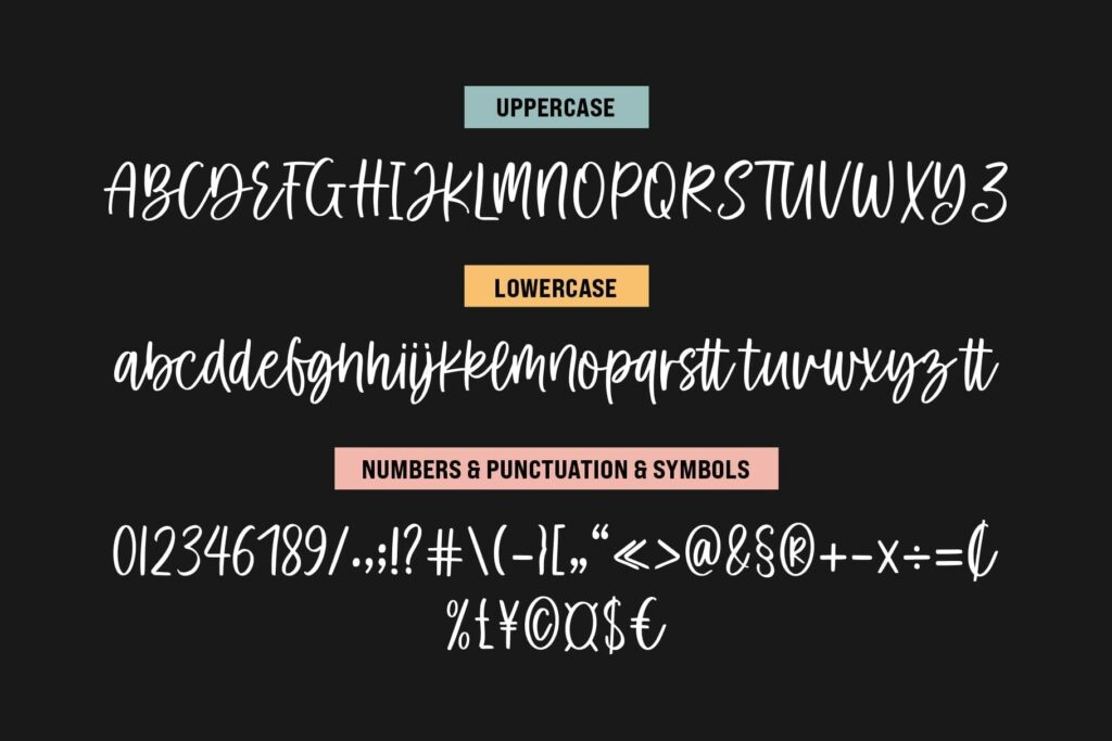 Camila Ashton - Script Font Duo Poster 3
