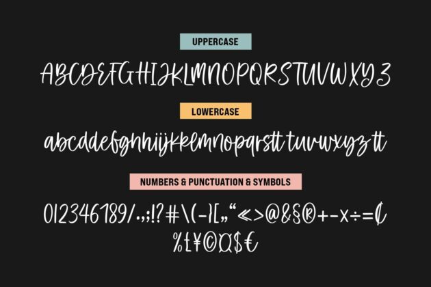 Camila Ashton - Script Font Duo Poster 3