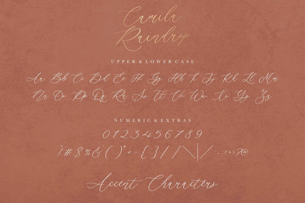 Camila Raindrop Elegant Modern Calligraphy Font Poster 5
