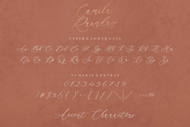 Camila Raindrop Elegant Modern Calligraphy Font Poster 5
