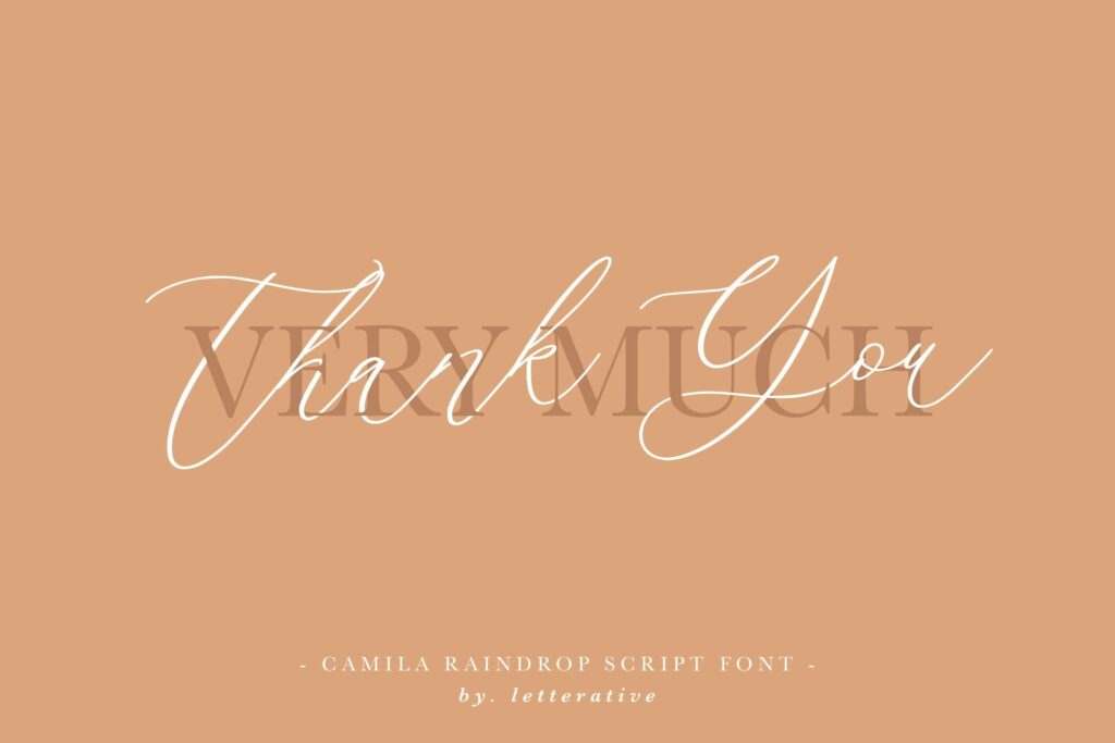 Camila Raindrop Elegant Modern Calligraphy Font Poster 6