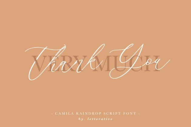 Camila Raindrop Elegant Modern Calligraphy Font Poster 6