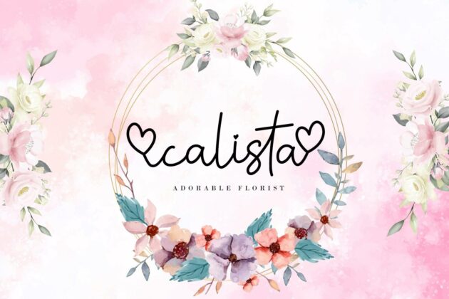 Careista Poster 2