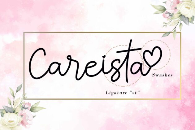 Careista Poster 7