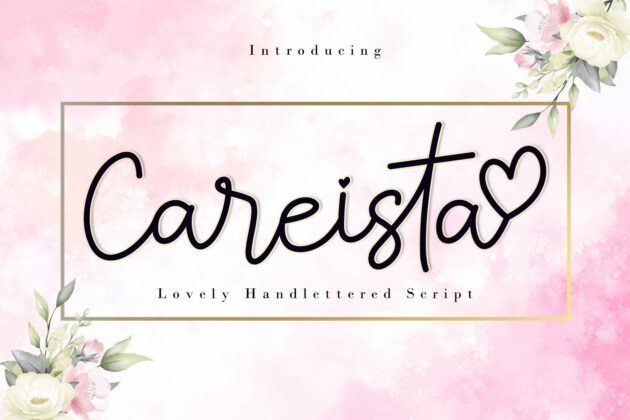 Careista Poster 8
