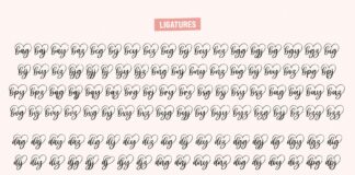 Carley - Lovely heart Script Font Poster 1