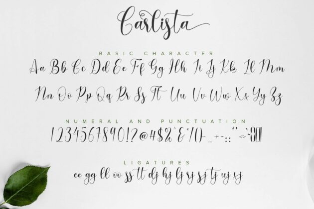 Carlista Script Poster 5
