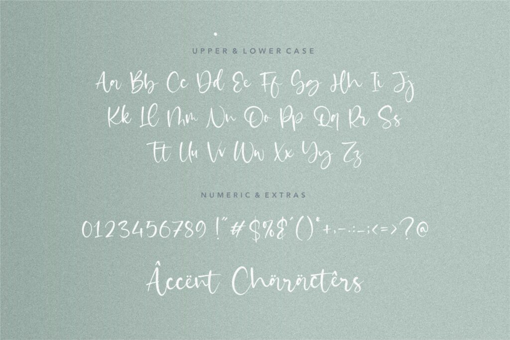 Castilla is a Beautiful Modern Handdrawn Font Poster 2