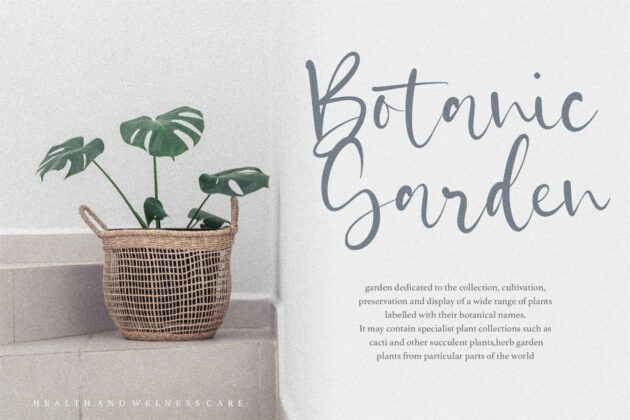 Castilla is a Beautiful Modern Handdrawn Font Poster 7