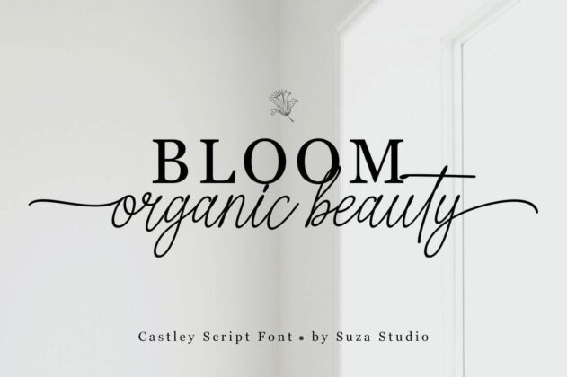 Castley Poster 5