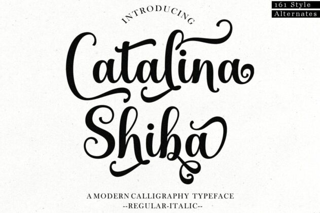 Catalina Shiba Poster 3