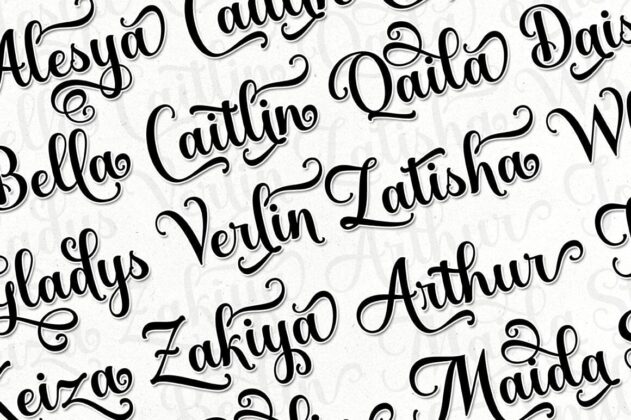 Catalina Shiba Poster 8