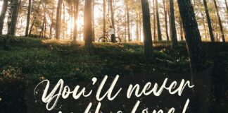 Celline Fram - Textured Brush Font Poster 1