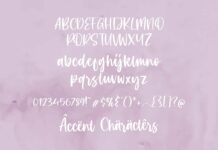Celosia Golden Modern Calligraphy Font Poster 1