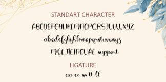 Cerellia - Bold Script Font Poster 1