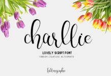 Charllie Lovely Script Font Poster 1