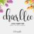 Charllie Lovely Script Font