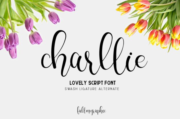 Charllie Lovely Script Font Poster 2