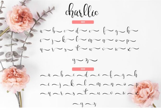 Charllie Lovely Script Font Poster 4