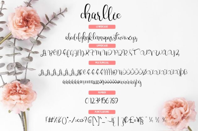 Charllie Lovely Script Font Poster 5