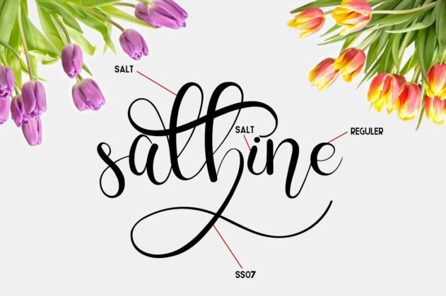 Charllie Lovely Script Font Poster 6