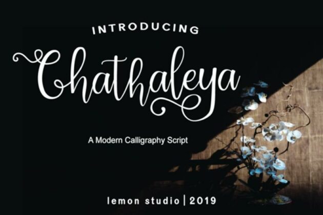 chathaleya Poster 3