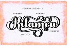 Chicago Poster 1
