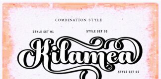 Chicago Poster 1