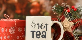 Christmas Family Font Duo Poster 1