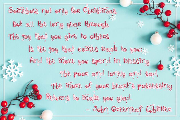 Christmas Vibes: A Whimsical Christmas Font Poster 6