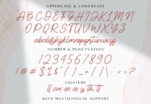 Cinthya Amy - Handwritten Font Poster 1