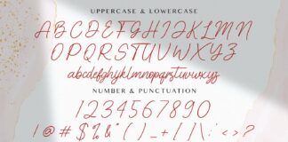 Cinthya Amy - Handwritten Font Poster 1