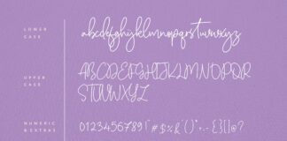 Citruslime Modern Monoline Handwritten Script Font Poster 1