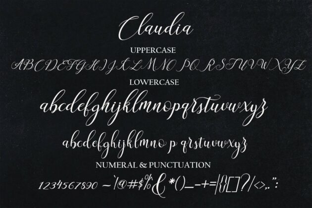 Claudia Script Poster 8
