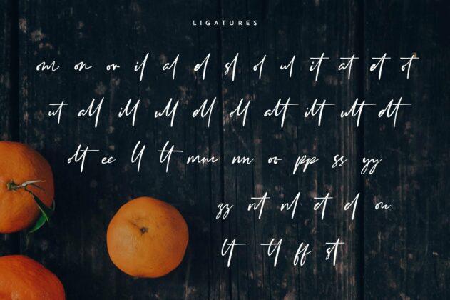 Clementine Script Poster 5