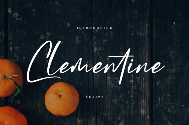 Clementine Script Poster 7