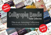 Collection of Calligraphy Fonts Collection.  New update! Poster 1