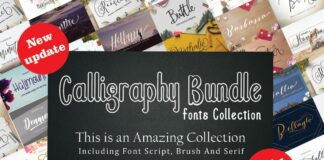 Collection of Calligraphy Fonts Collection.  New update! Poster 1
