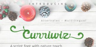 Curriwiz Font Poster 1