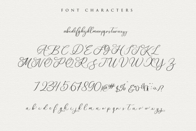 Dagtton - Wedding Calligraphy Font Poster 4