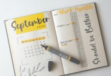 Daily Feather Modern Calligraphy Font Poster 1