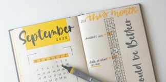 Daily Feather Modern Calligraphy Font Poster 1