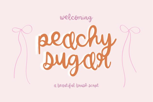 Dainty Romance Script Font Bundle Poster 3
