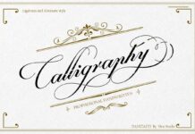 Danizatti script Poster 1