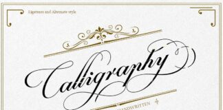 Danizatti script Poster 1