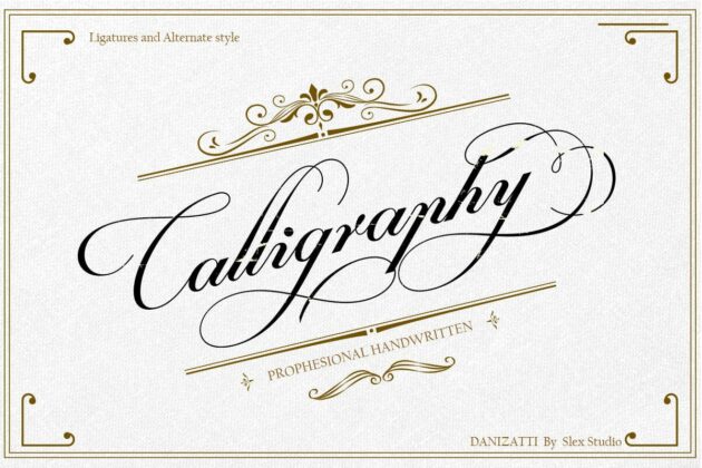 Danizatti script Poster 1